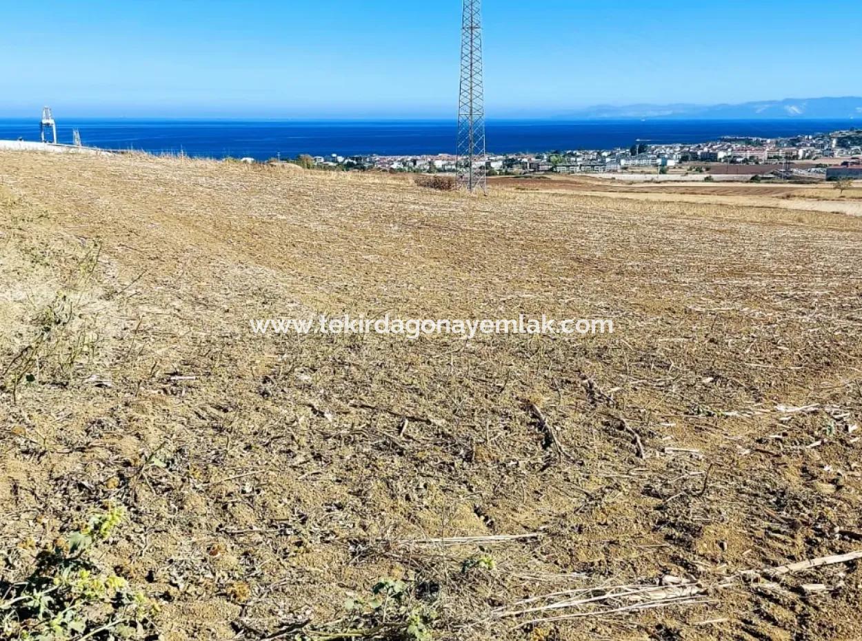 Das 21.900 M2 Große Grundstück In Tekirdağ Barbaros Befindet Sich Innerhalb Des Aktuellen Bebauungsplans Von Asyaport Port