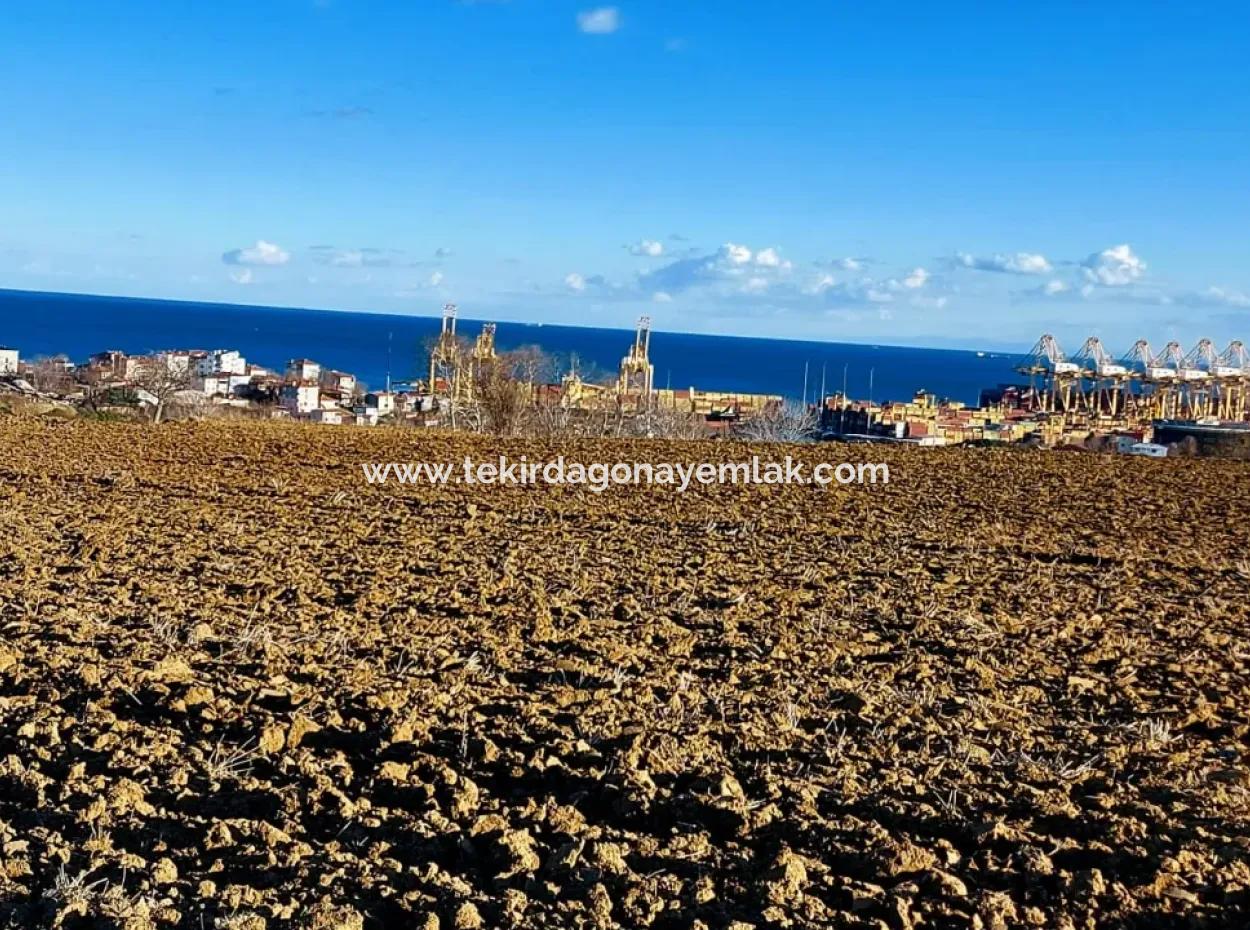 17.100 M2 Wohngebiet Mit Herrlicher Aussicht, In Der Nähe Des Hafens Tekirdağ Barbaros Asyaport