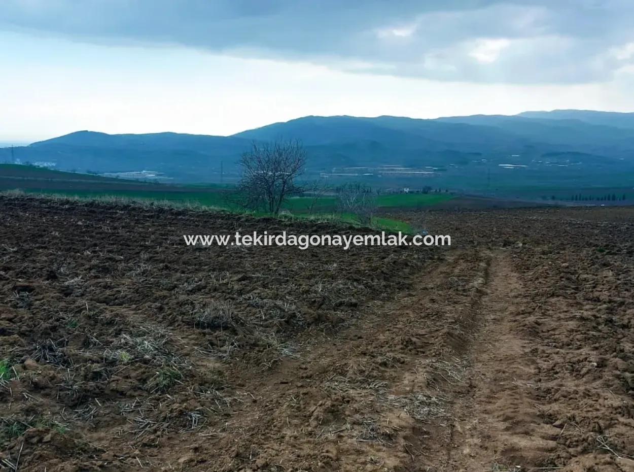 Investitionsmöglichkeit Für Gewerbe- Und Industriegebiete Im Rahmen Des Aktuellen Bebauungsplans Des Asyaport-Hafens In Der Region Tekirdağ Barbaros