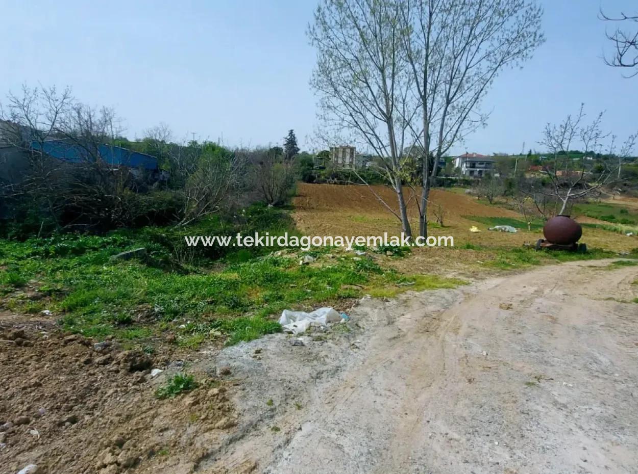 Ganz In Der Nähe Des Hafens Von Asyaport Mit Hohem Gewinn Und Garantiertem Wohngebiet