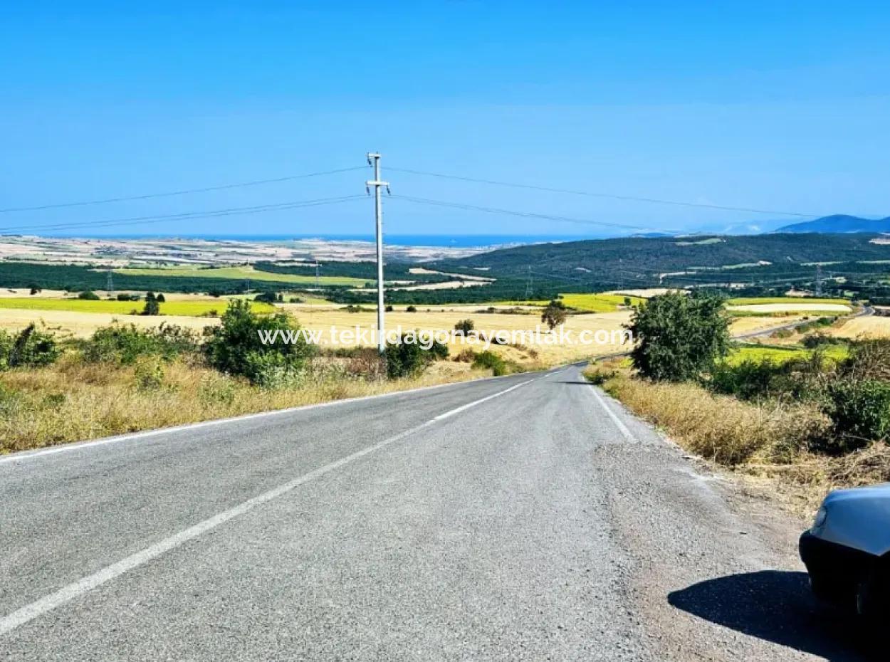 Tekirdağ Aşağkiliçli Mah. 2.340 M2 Kupon Feld Für Dringenden Verkauf, Das Hohe Gewinne Verspricht Und Sich Für Kauf Und Verkauf Eignet