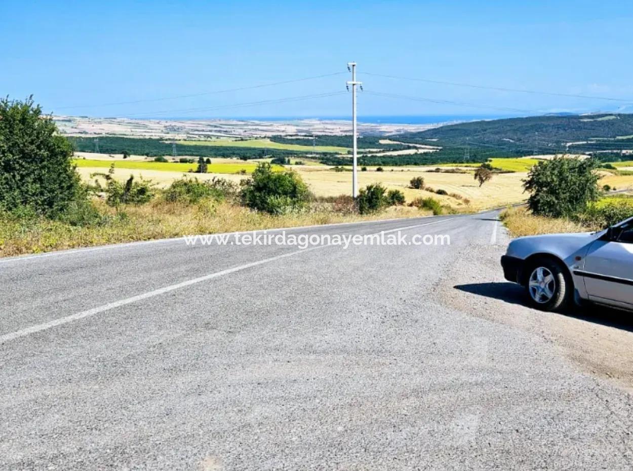 Tekirdağ Aşağkiliçli Mah. 2.340 M2 Kupon Feld Für Dringenden Verkauf, Das Hohe Gewinne Verspricht Und Sich Für Kauf Und Verkauf Eignet