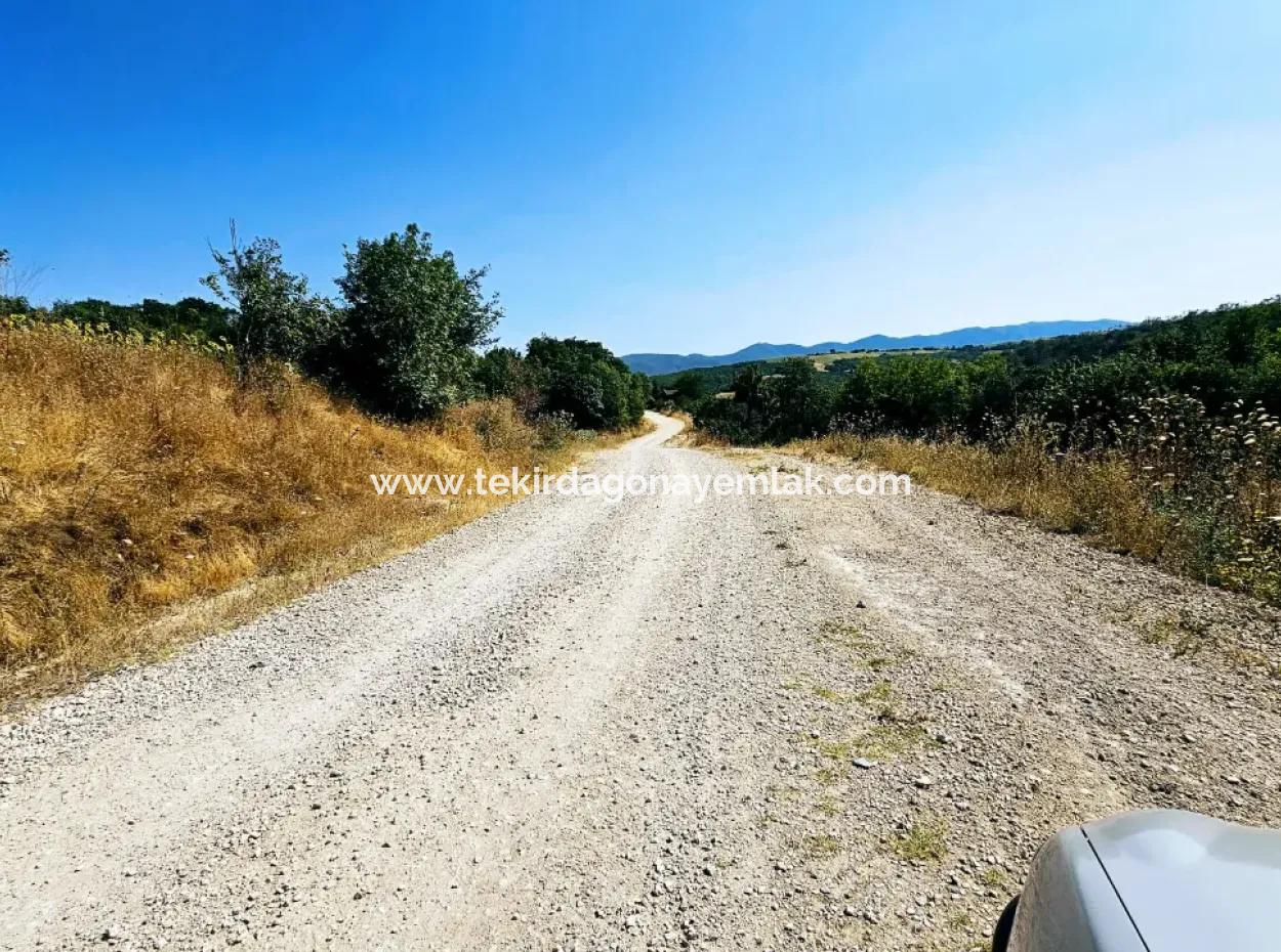 Coupon-Feld Mit Hauptstrassenfront, Geeignet Für Naturliebhaber, Um Tiny House Zum Dringenden Verkauf In Der Nachbarschaft Tekirdag Çanakçi Zu Platzieren