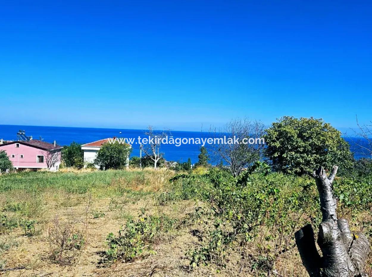 Eine Unumgängliche Gelegenheit Für Diejenigen, Die Einen Ort Zum Dringenden Verkauf Suchen 4 Side Road Fassadeninvestition In Tekirdag Barbarosta