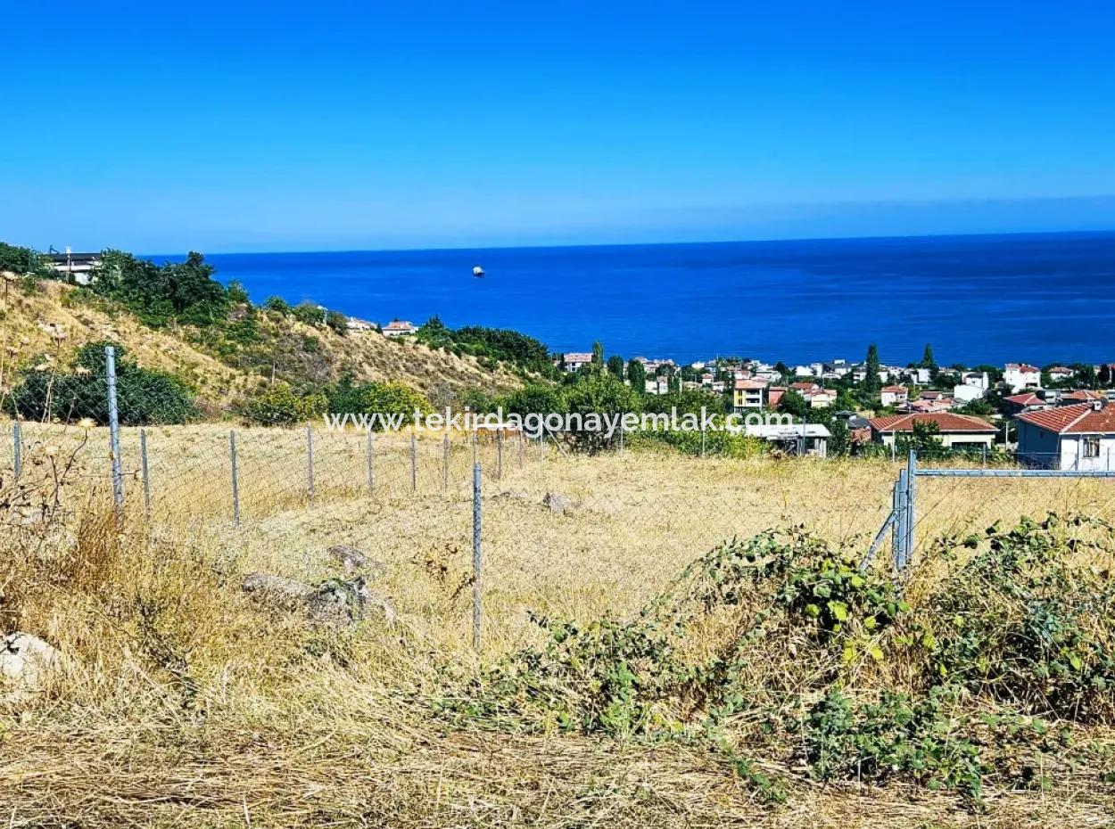 Eine Unumgängliche Gelegenheit Für Diejenigen, Die Einen Ort Zum Dringenden Verkauf Suchen 4 Side Road Fassadeninvestition In Tekirdag Barbarosta