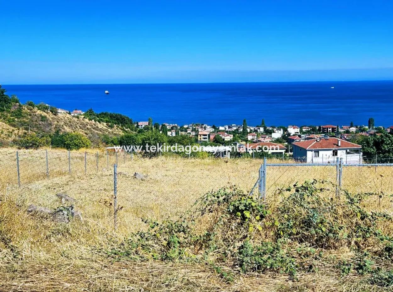Eine Unumgängliche Gelegenheit Für Diejenigen, Die Einen Ort Zum Dringenden Verkauf Suchen 4 Side Road Fassadeninvestition In Tekirdag Barbarosta