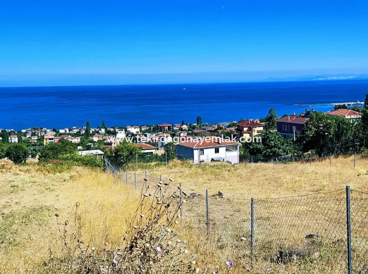 Eine Unumgängliche Gelegenheit Für Diejenigen, Die Einen Ort Zum Dringenden Verkauf Suchen 4 Side Road Fassadeninvestition In Tekirdag Barbarosta