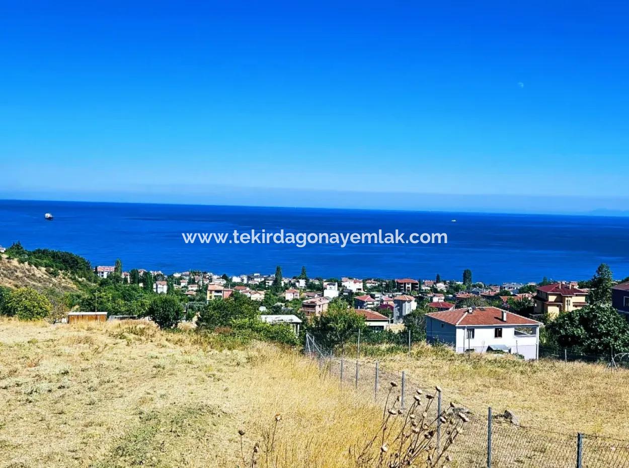 Eine Unumgängliche Gelegenheit Für Diejenigen, Die Einen Ort Zum Dringenden Verkauf Suchen 4 Side Road Fassadeninvestition In Tekirdag Barbarosta