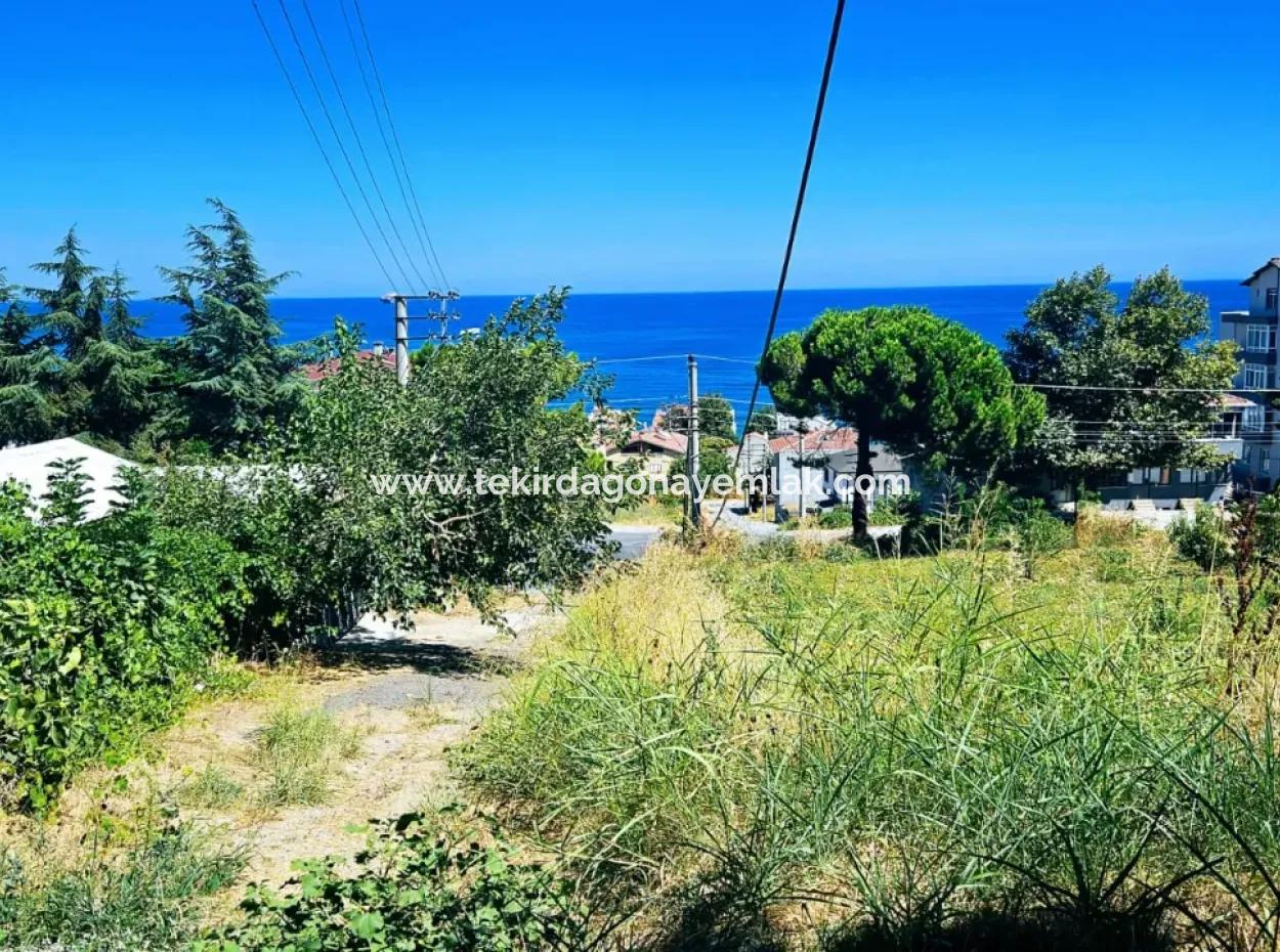 Tekirdag Barbarosta Dringender Verkauf Hauptstrasse Front Gewerbliche Wohnzone [ Angrenzendes Layout ] 85 Wohnungen Hohe Gewinngarantie