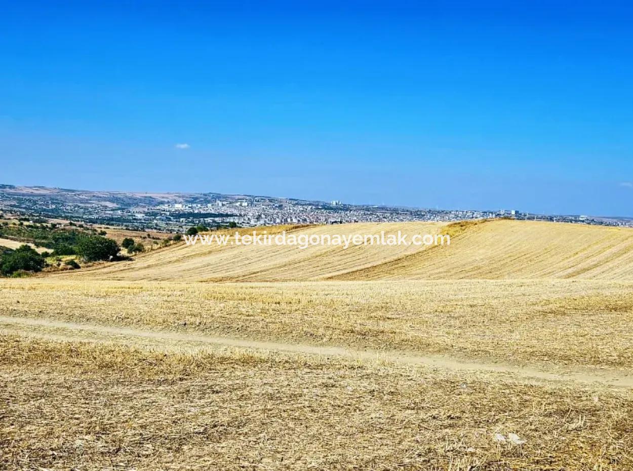 2.650 M2 Villa Zum Dringenden Verkauf In Tekirdag Barbarosta Zoned Coupon Field Geeignet Für Investitionen