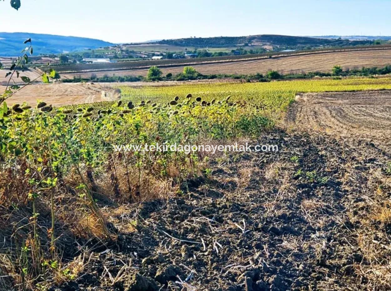 Der Hafen Von Asyaport Ist Ein Unumgängliches Gelegenheitsland Für Diejenigen, Die Ganz In Der Nähe Der Bestehenden Zonierung Investieren Möchten