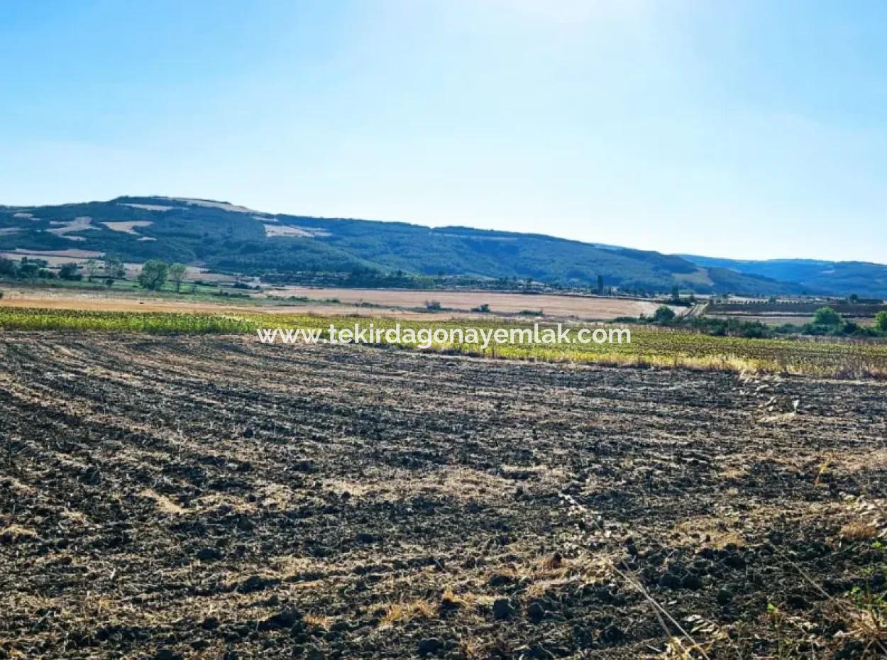 Der Hafen Von Asyaport Ist Ein Unumgängliches Gelegenheitsland Für Diejenigen, Die Ganz In Der Nähe Der Bestehenden Zonierung Investieren Möchten