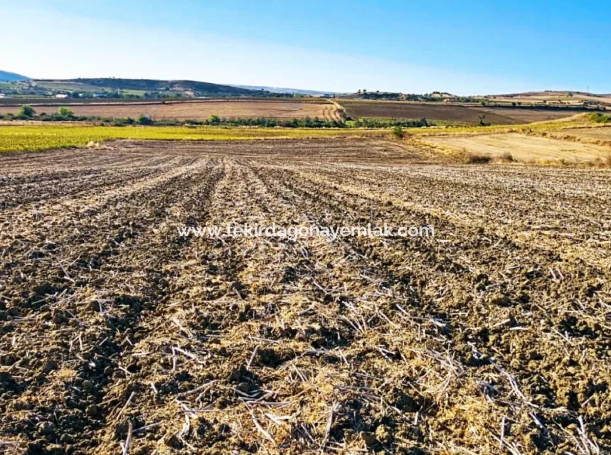 Der Hafen Von Asyaport Liegt Ganz In Der Nähe Der Bestehenden Zonierung Von 17.350 M2 Schnäppchen-Investitionscoupon-Feld Für Den Dringenden Verkauf