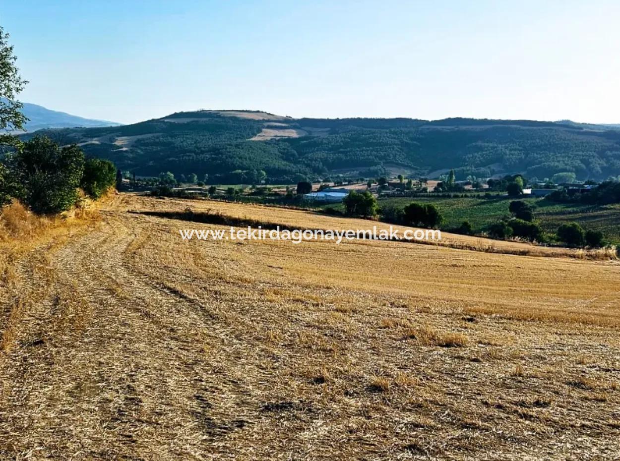 Der Hafen Von Azyaport Liegt In Der Nähe Des Bestehenden Zoning 16.100 Emergency Sale Investment Bargain Coupon-Feldes