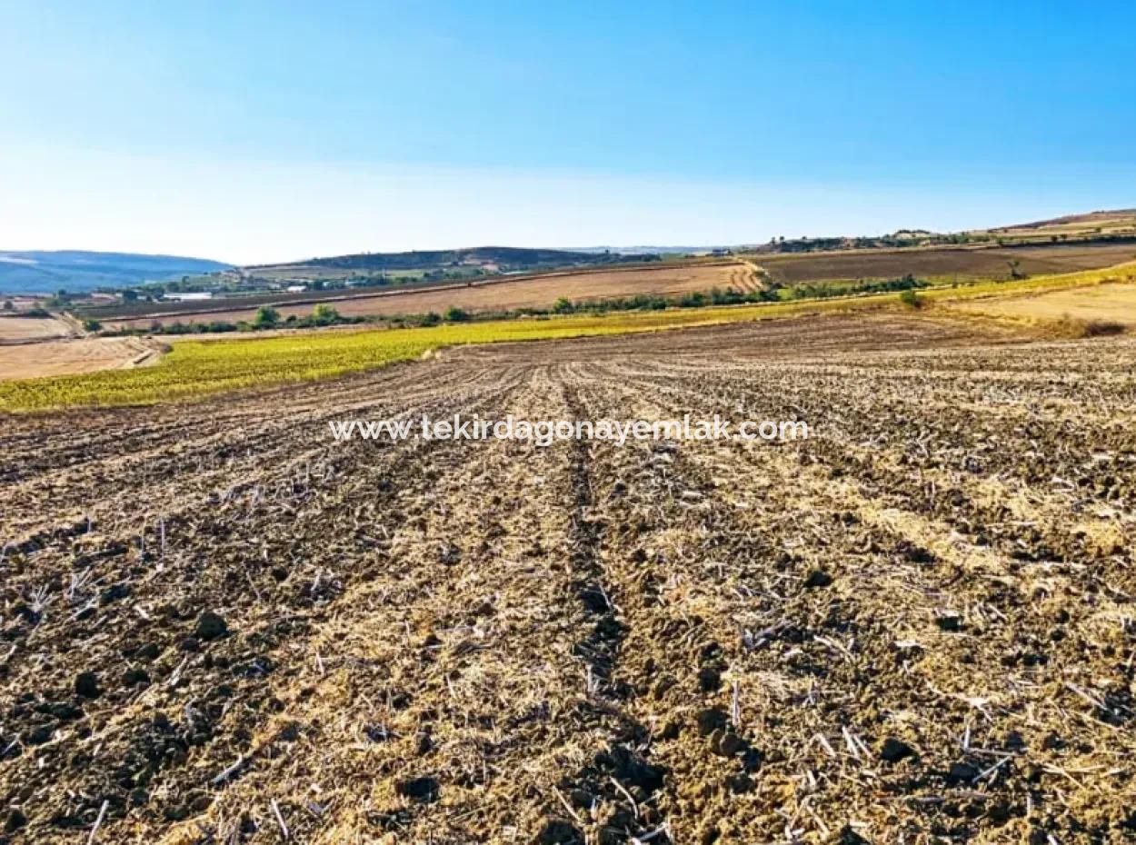 Der Hafen Von Asyaport Liegt Im Rahmen Des Aktuellen Bebauungsplans (