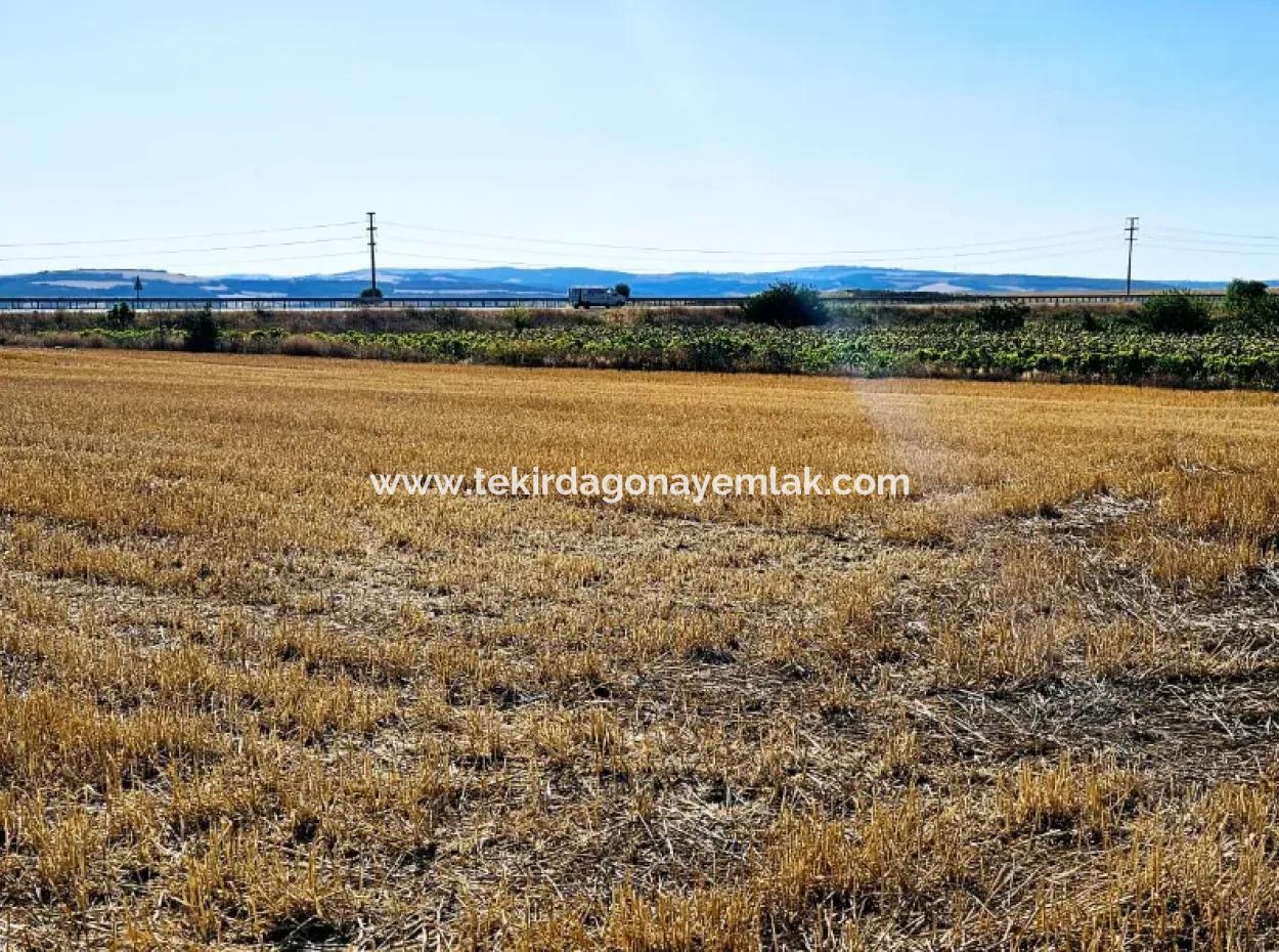 Der Hafen Von Asyaport Liegt Im Rahmen Des Aktuellen Bebauungsplans (