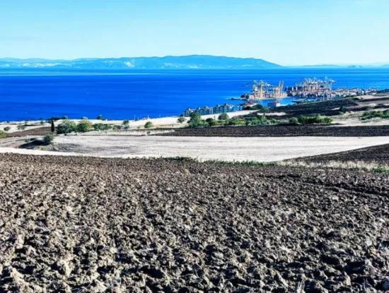 Hohe Gewinngarantie Investieren Sie In 44 Wohnungen Im Massenwohnungsbereich Geben Sie Auftragnehmern Das Doppelte Ihrer Gewinne