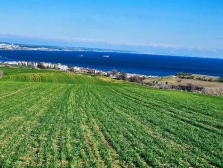 Die Nächstgelegene Region Zu Istanbul Ist Tekirdag Barbarost 34.500 Opportunity Zoned Land, Das Sich Für Den Bau Von 75 Luxusvillen Mit Vollem Blick Auf Das Meer Und Die Natur Eignet