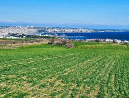 Die Nächstgelegene Region Zu Istanbul Ist Tekirdag Barbarost 34.500 Opportunity Zoned Land, Das Sich Für Den Bau Von 75 Luxusvillen Mit Vollem Blick Auf Das Meer Und Die Natur Eignet