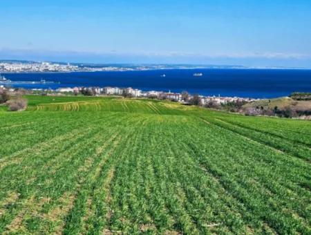 Die Nächstgelegene Region Zu Istanbul Ist Tekirdag Barbarost 34.500 Opportunity Zoned Land, Das Sich Für Den Bau Von 75 Luxusvillen Mit Vollem Blick Auf Das Meer Und Die Natur Eignet