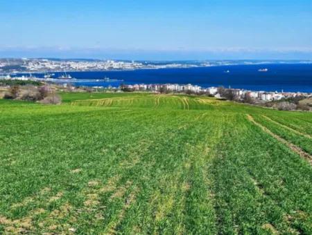 Die Nächstgelegene Region Zu Istanbul Ist Tekirdag Barbarost 34.500 Opportunity Zoned Land, Das Sich Für Den Bau Von 75 Luxusvillen Mit Vollem Blick Auf Das Meer Und Die Natur Eignet