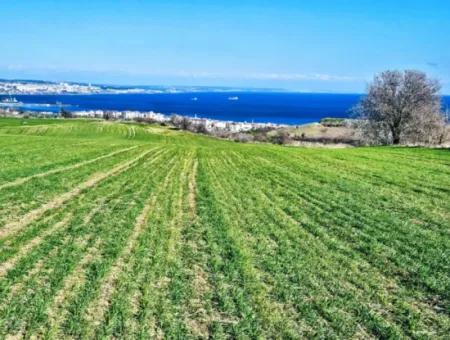 Die Nächstgelegene Region Zu Istanbul Ist Tekirdag Barbarost 34.500 Opportunity Zoned Land, Das Sich Für Den Bau Von 75 Luxusvillen Mit Vollem Blick Auf Das Meer Und Die Natur Eignet