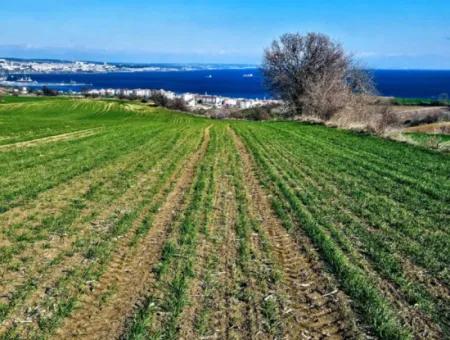 Die Nächstgelegene Region Zu Istanbul Ist Tekirdag Barbarost 34.500 Opportunity Zoned Land, Das Sich Für Den Bau Von 75 Luxusvillen Mit Vollem Blick Auf Das Meer Und Die Natur Eignet