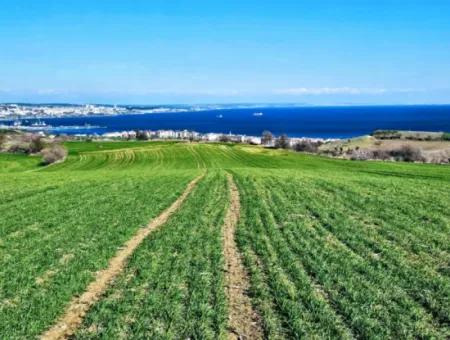 Die Nächstgelegene Region Zu Istanbul Ist Tekirdag Barbarost 34.500 Opportunity Zoned Land, Das Sich Für Den Bau Von 75 Luxusvillen Mit Vollem Blick Auf Das Meer Und Die Natur Eignet