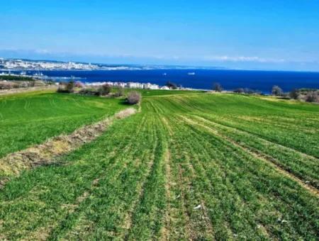 Die Nächstgelegene Region Zu Istanbul Ist Tekirdag Barbarost 34.500 Opportunity Zoned Land, Das Sich Für Den Bau Von 75 Luxusvillen Mit Vollem Blick Auf Das Meer Und Die Natur Eignet