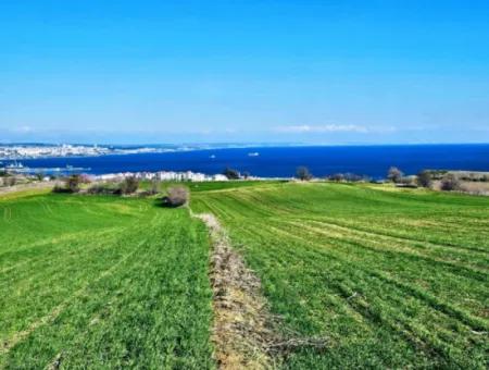 Die Nächstgelegene Region Zu Istanbul Ist Tekirdag Barbarost 34.500 Opportunity Zoned Land, Das Sich Für Den Bau Von 75 Luxusvillen Mit Vollem Blick Auf Das Meer Und Die Natur Eignet