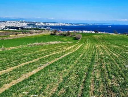 Die Nächstgelegene Region Zu Istanbul Ist Tekirdag Barbarost 34.500 Opportunity Zoned Land, Das Sich Für Den Bau Von 75 Luxusvillen Mit Vollem Blick Auf Das Meer Und Die Natur Eignet