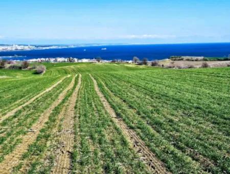 Die Nächstgelegene Region Zu Istanbul Ist Tekirdag Barbarost 34.500 Opportunity Zoned Land, Das Sich Für Den Bau Von 75 Luxusvillen Mit Vollem Blick Auf Das Meer Und Die Natur Eignet