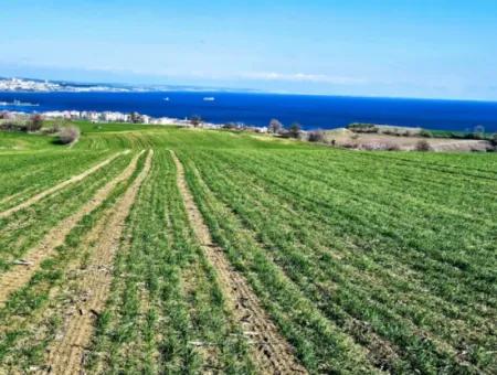 Die Nächstgelegene Region Zu Istanbul Ist Tekirdag Barbarost 34.500 Opportunity Zoned Land, Das Sich Für Den Bau Von 75 Luxusvillen Mit Vollem Blick Auf Das Meer Und Die Natur Eignet