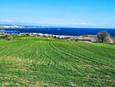 Die Nächstgelegene Region Zu Istanbul Ist Tekirdag Barbarost 34.500 Opportunity Zoned Land, Das Sich Für Den Bau Von 75 Luxusvillen Mit Vollem Blick Auf Das Meer Und Die Natur Eignet