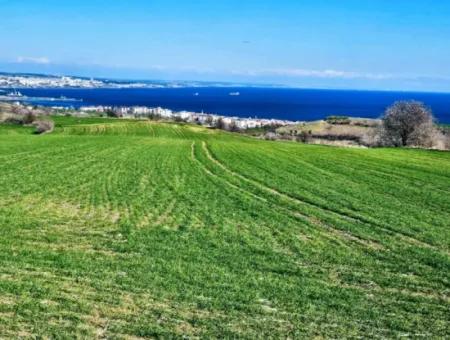Die Nächstgelegene Region Zu Istanbul Ist Tekirdag Barbarost 34.500 Opportunity Zoned Land, Das Sich Für Den Bau Von 75 Luxusvillen Mit Vollem Blick Auf Das Meer Und Die Natur Eignet