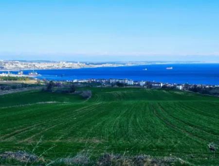 Die Nächstgelegene Region Zu Istanbul Ist Tekirdag Barbarost 34.500 Opportunity Zoned Land, Das Sich Für Den Bau Von 75 Luxusvillen Mit Vollem Blick Auf Das Meer Und Die Natur Eignet