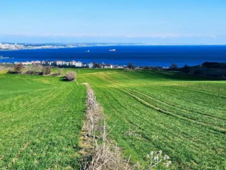 Die Nächstgelegene Region Zu Istanbul Ist Tekirdag Barbarost 34.500 Opportunity Zoned Land, Das Sich Für Den Bau Von 75 Luxusvillen Mit Vollem Blick Auf Das Meer Und Die Natur Eignet