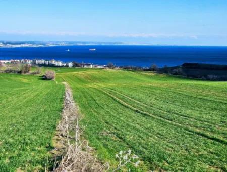 Die Nächstgelegene Region Zu Istanbul Ist Tekirdag Barbarost 34.500 Opportunity Zoned Land, Das Sich Für Den Bau Von 75 Luxusvillen Mit Vollem Blick Auf Das Meer Und Die Natur Eignet