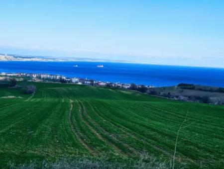 Die Nächstgelegene Region Zu Istanbul Ist Tekirdag Barbarost 34.500 Opportunity Zoned Land, Das Sich Für Den Bau Von 75 Luxusvillen Mit Vollem Blick Auf Das Meer Und Die Natur Eignet