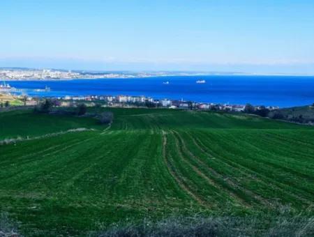 Die Nächstgelegene Region Zu Istanbul Ist Tekirdag Barbarost 34.500 Opportunity Zoned Land, Das Sich Für Den Bau Von 75 Luxusvillen Mit Vollem Blick Auf Das Meer Und Die Natur Eignet