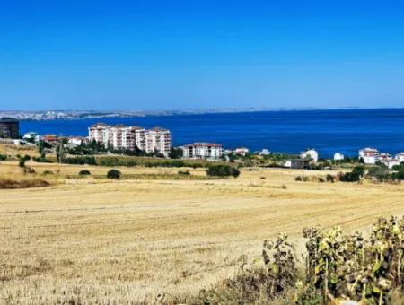 Gelegenheit Grundstück Geeignet Für Den Bau Ihres Einfamilienhauses In Ihrem Schwangeren Haus Zum Dringenden Verkauf In Tekirdag Barbarosta