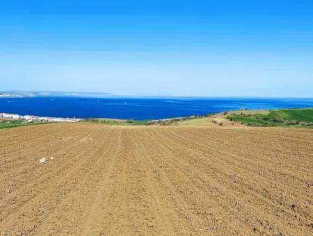 Tekirdag Barbarosta Luxusvilla Projekt Yap. Geben Sie Den Bauunternehmern Eine Wohnung Und Bauen Sie Eine Gewinnbringende Villa Mit Vollem Meerblick