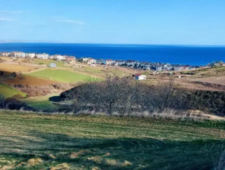 1.150 M² Großes Grundstück In Der Nähe Des Ramada Hotels In Tekirdag Suleymanpasa Barbaros - Topagac