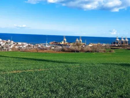 17 980 M2 Feld Zum Verkauf In Der Nähe Des Hafens Von Tekirdag Barbaros Asyaport