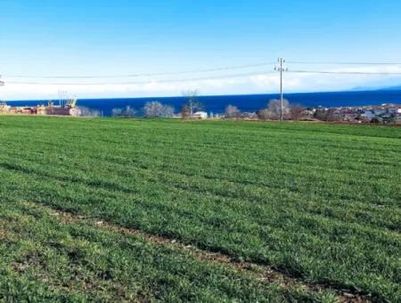 Dieses 11.100 M2 Große Wohngrundstück Befindet Sich In Süleymanpaşa Barbaros, Tekirdag, In Einer Großartigen Lage.