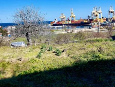 Grundstück Im Viertel Tekirdag Süleymanpaşa Barbaros, 100 Meter Vom Hafen Von Asyaport Entfernt
