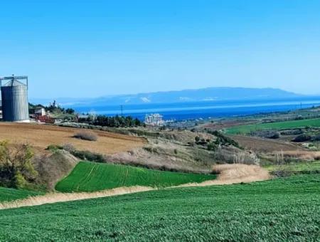 Grundstück Zum Verkauf Auf 19.500 Quadratmetern Gewerbe- Und Industriegebiet Im Nusuratlı-Gebiet Von Tekirdağ