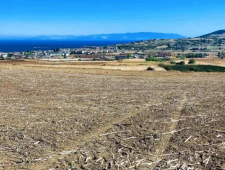 Das 21.900 M2 Große Grundstück In Tekirdağ Barbaros Befindet Sich Innerhalb Des Aktuellen Bebauungsplans Von Asyaport Port