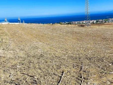 Das 21.900 M2 Große Grundstück In Tekirdağ Barbaros Befindet Sich Innerhalb Des Aktuellen Bebauungsplans Von Asyaport Port