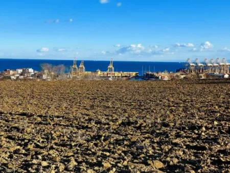 17.100 M2 Wohngebiet Mit Herrlicher Aussicht, In Der Nähe Des Hafens Tekirdağ Barbaros Asyaport